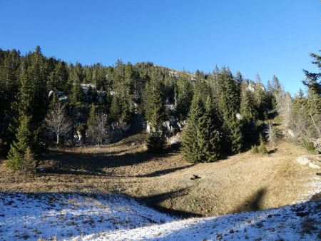 Clairière avant la descente en forêt.