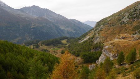 Une vue du chemin descendant vers le Fenil, avant de traverser le mélézin.