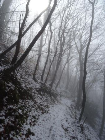 Sentier des Gardes