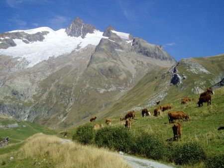 Aiguille des Glaciers