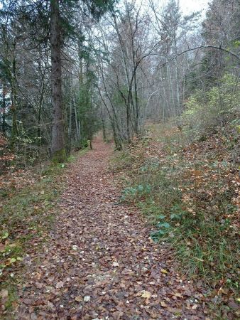 Chemin de la Verrière