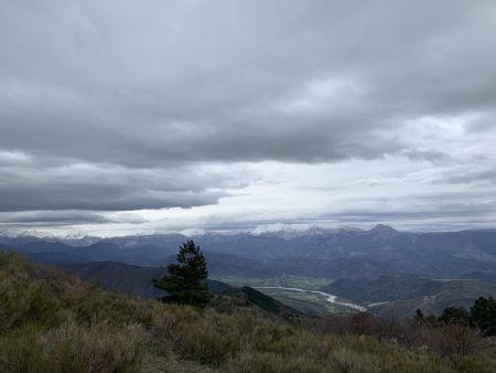  Le Cousson, Cheval Blanc. 