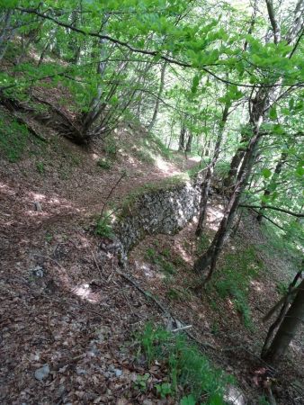 Chemin du col de la Sciaz