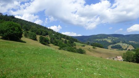 Vue vers le Nord-Est avant d’arriver au Col de Chamont