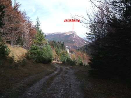 Versant Isère du col de Menée