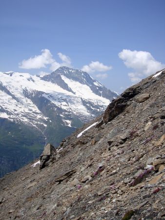 La descente dans les éboulis.