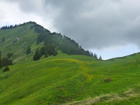 Col du Haut du Four, le Parc du Mouton