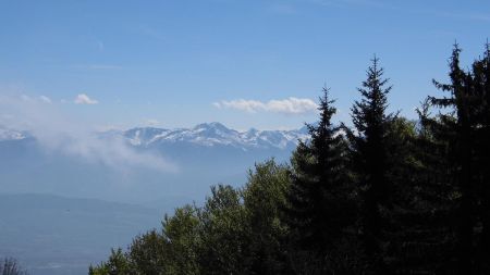 Belledonne