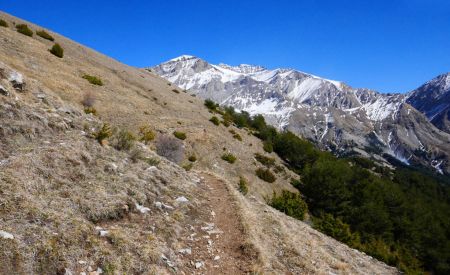 le-pinet-1924m-et-t-te-de-belau-2242m-par-le-col-de-mariaud