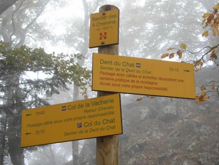 Et les 4 chemins, dans le brouillard