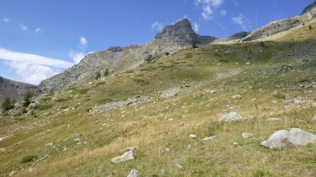 Retour dans l’herbeux, sous Roche Rousse