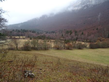 Tourbière du Peuil