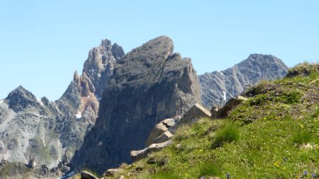 Zoom sur la Pieera Menta