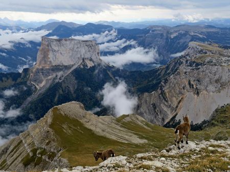 paysage du sommet