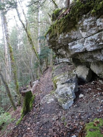 Sentier après les Teppaz