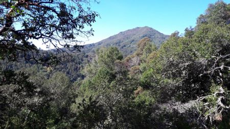 Mount Tamalpais