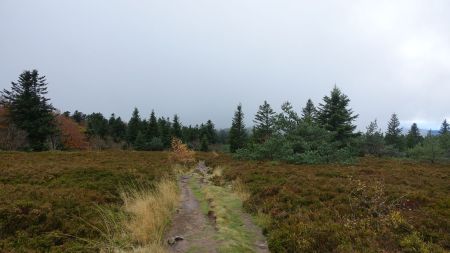 On poursuit sur le GR7, jusqu’à la Croix Drevet.