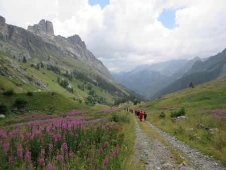 J2 : On a rejoint la large piste qui conduit au refuge Campo Base.