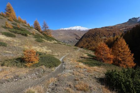 Descente par le vallon de Lamaron.