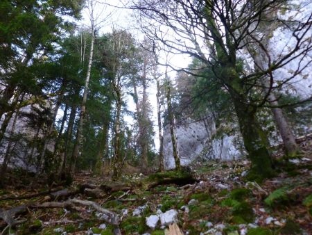 Sous le col de Sariette