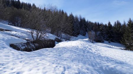 Passage en forêt