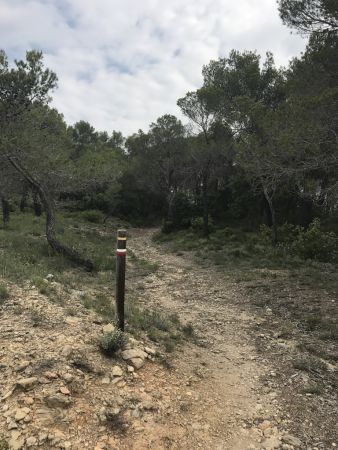 Sentier bien balisé