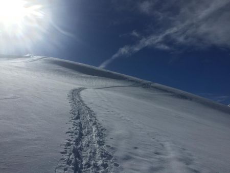 A la sortie de la forêt...