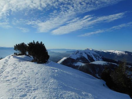 Sur le dôme boisé, vue vers le Pic de Charance.