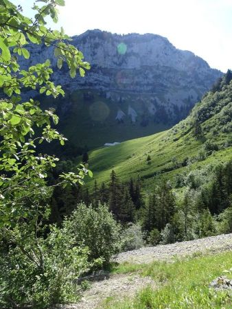 En montant vers la falaise