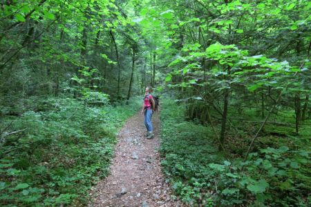 Sentier de La Grande Combe