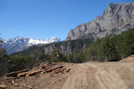 On rejoint la piste qui descend vers les Vigneaux