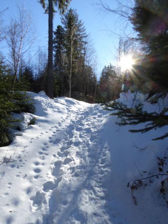 Descente sur Malarbé