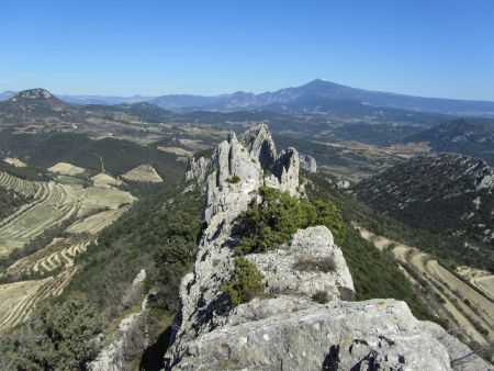 Au fond le Mont Ventoux.