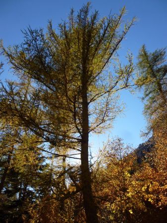 Retour aux Amayères.