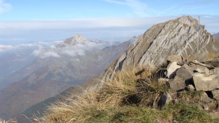 De la Pointe des Arces, vue sur le Trélod, au fond à gauche.