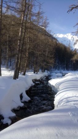 Torrent du Petit Tabuc