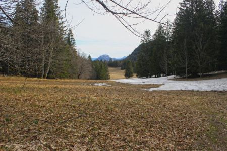 A proximité du belvédère