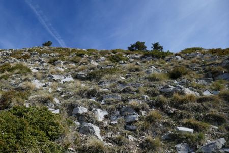 Virer au NO puis nord en restant en bordure de crête, c’est la partie la plus raide.