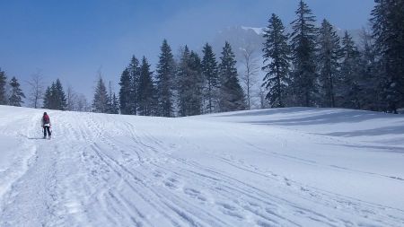 A l’extrème nord de la Prairie de la Folie.