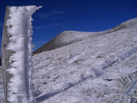 Sculptures de glace et Pointe Feuillette