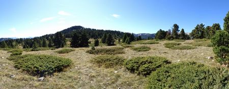 Plateau du Vercors