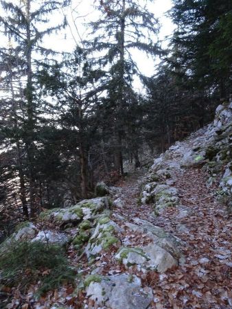 Sous les Rochers du Mont Baret