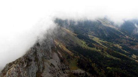 Vue sur le Ranc des Agnelons : contraste entre versant est et ouest.