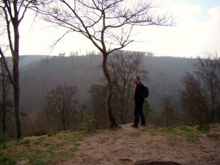 Vue sur les Vosges.