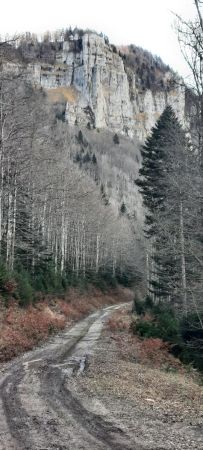 La route forestière du point 904 m vers les rochers de Malatra