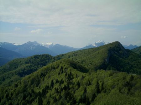 chartreuse vue du mont pellat