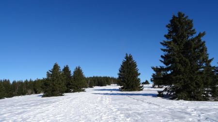 Près du sommet de Panère.