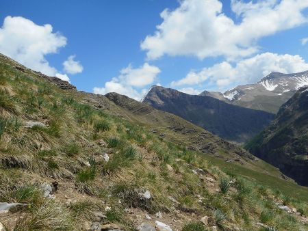 Dans le rétro de la traversée herbeuse