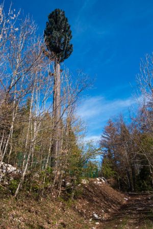 17- L’antenne de Montmin, camouflée en sapin