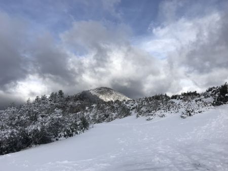 Montagne de l’Arsuc (du Col de Perty)